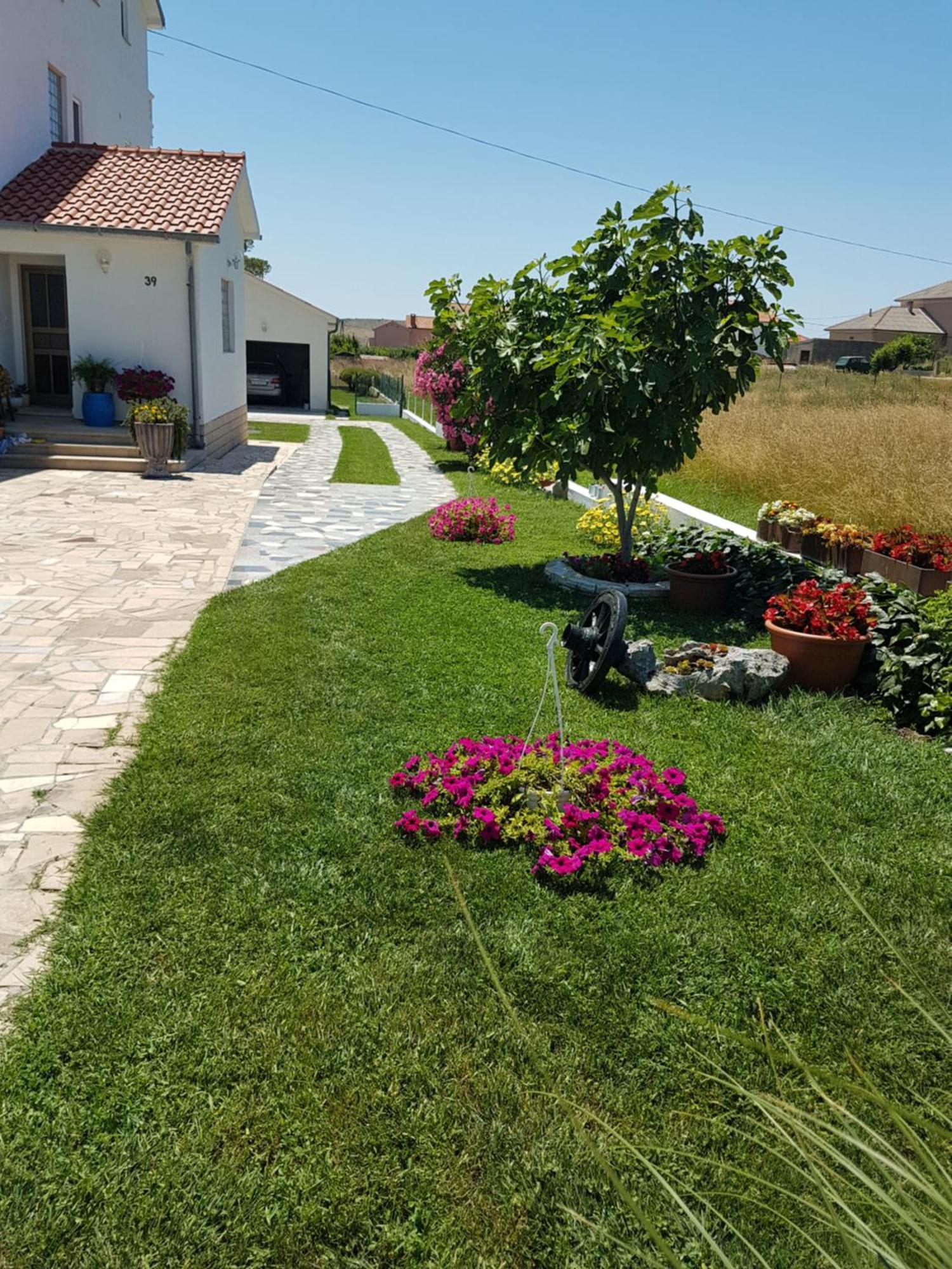 Apartments Smilja Ljubač 외부 사진